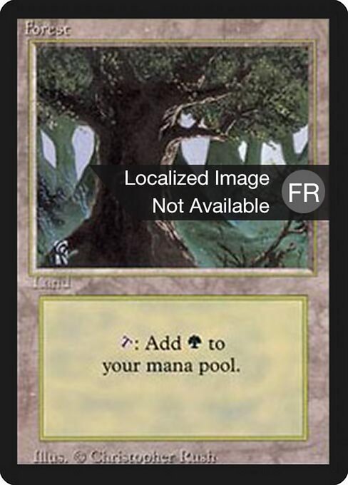 Forest (304) [Foreign Black Border]