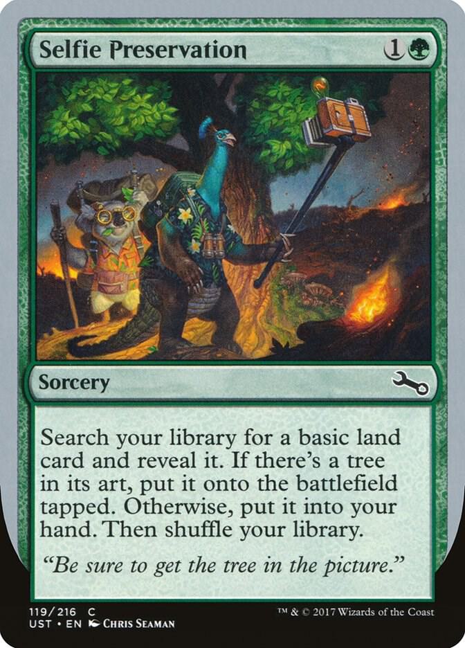 Selfie Preservation (119) [Unstable]