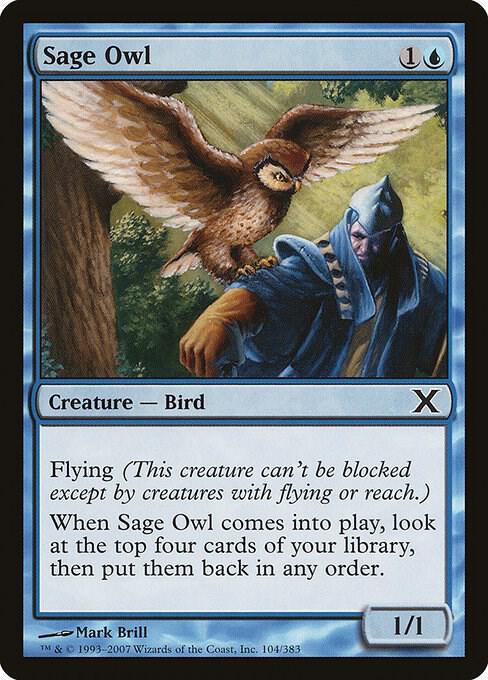 Sage Owl (104) [Tenth Edition]