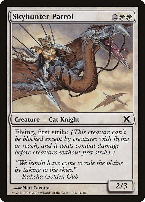 Skyhunter Patrol (41) [Tenth Edition]