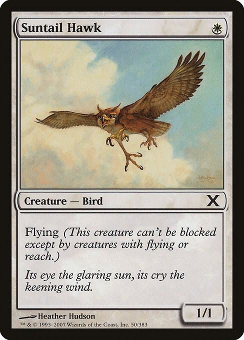 Suntail Hawk (50) [Tenth Edition]