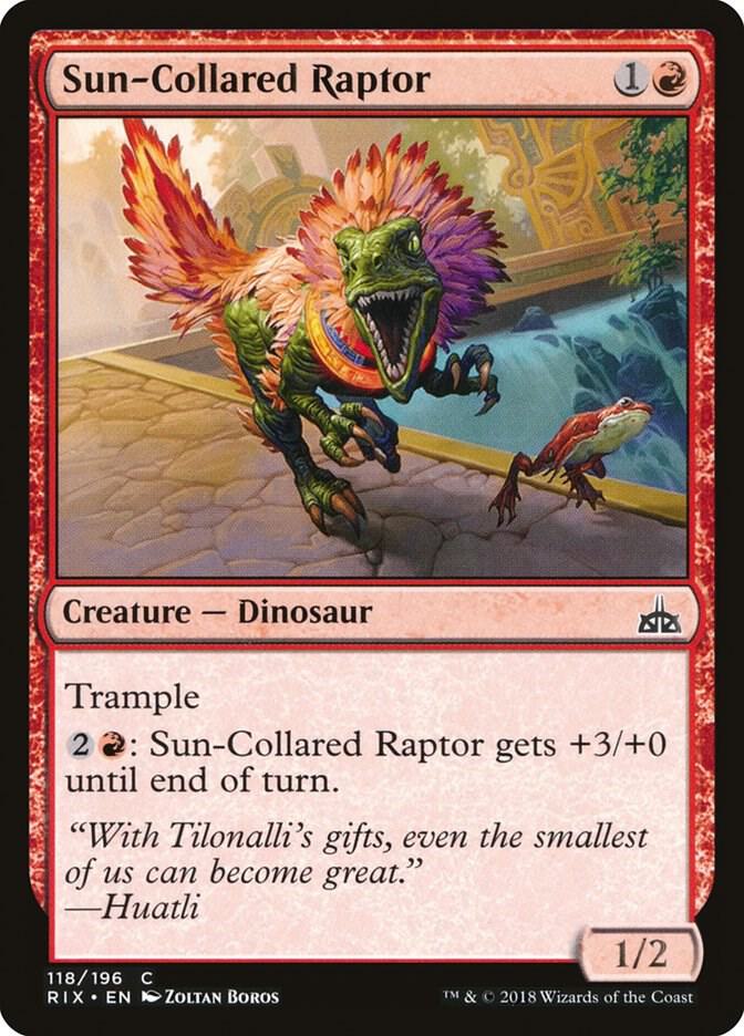Sun-Collared Raptor (118) [Rivals of Ixalan]