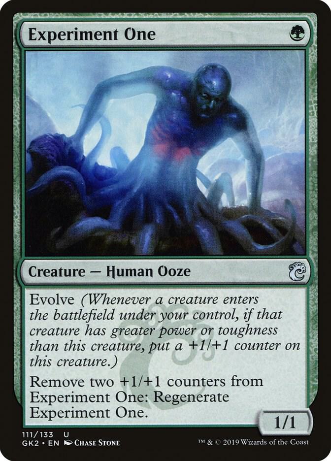 Experiment One (111) [RNA Guild Kit]