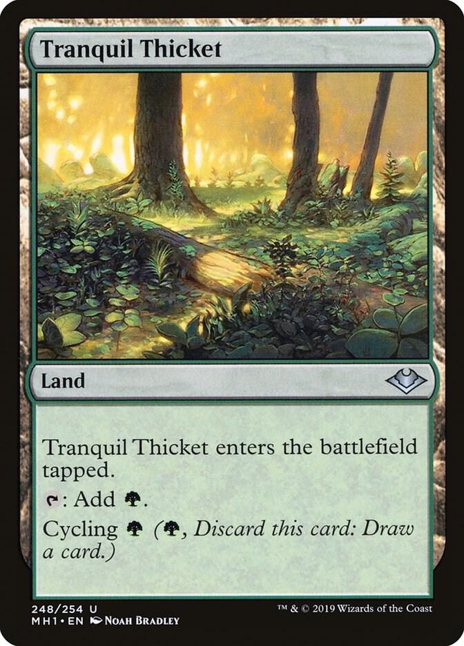 Tranquil Thicket (248) [Modern Horizons]
