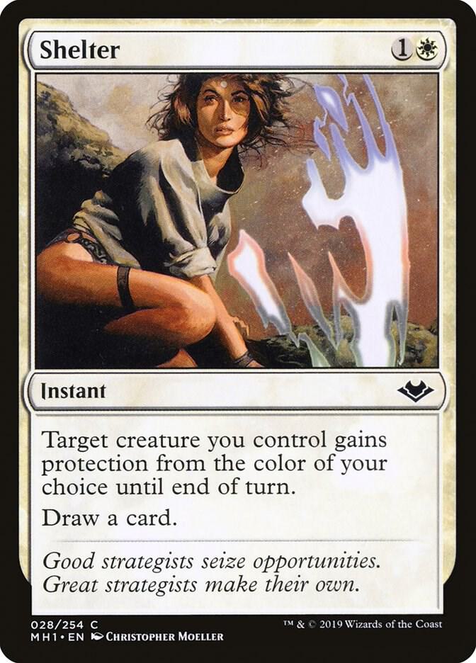 Shelter (28) [Modern Horizons]