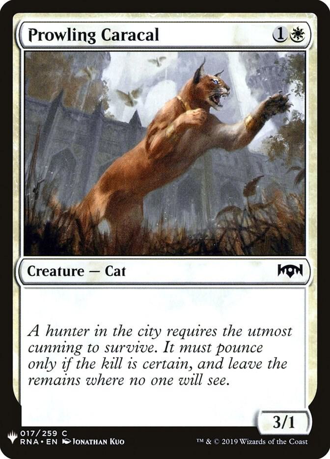 Prowling Caracal (17) [The List]