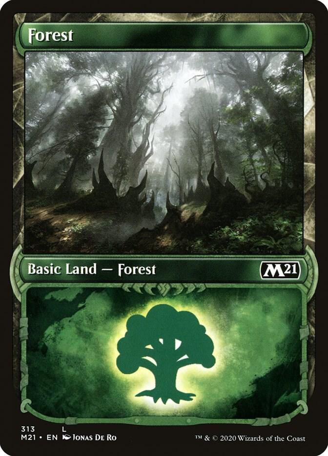 Forest (Showcase) (313) [Core Set 2021] [Showcase]