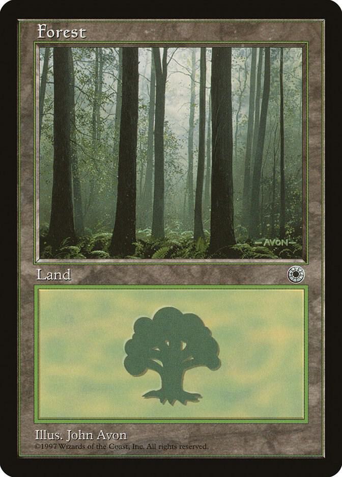 Forest (Ferns on Ground) (214) [Portal]