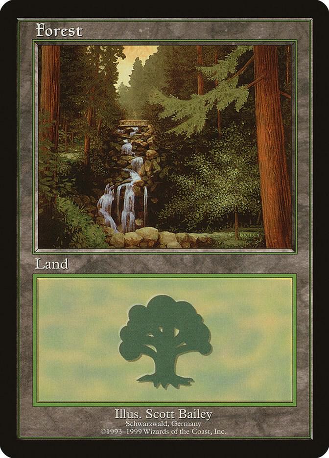 Forest - Schwarzwald (1) [European Land Program]
