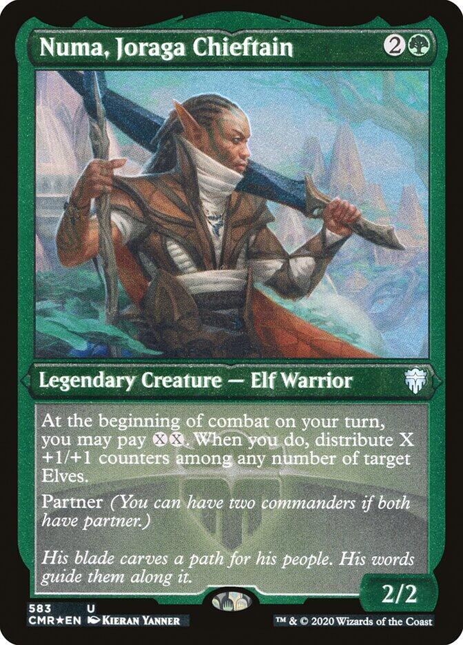 Numa, Joraga Chieftain (Foil Etched) (583) [Commander Legends] [Etched]