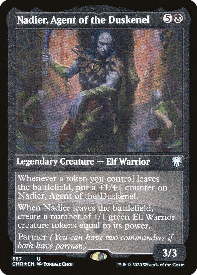 Nadier, Agent of the Duskenel (Foil Etched) (567) [Commander Legends] [Etched]