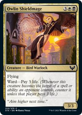 Owlin Shieldmage (210) [Strixhaven: School of Mages]