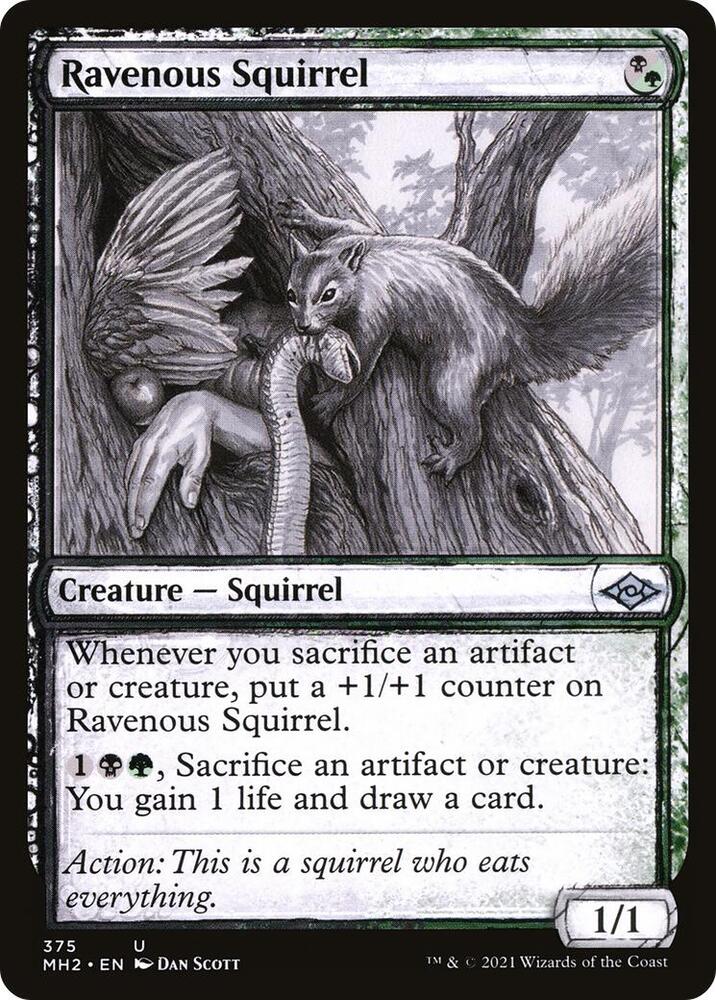 Ravenous Squirrel (Showcase) (375) [Modern Horizons 2] [Showcase]