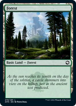 Forest (278) [Adventures in the Forgotten Realms]