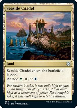 Seaside Citadel (258) [Forgotten Realms Commander]