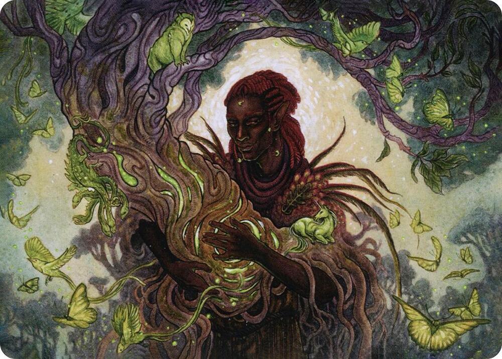 Circle of Dreams Druid Art Card (66) [Adventures in the Forgotten Realms Art Series]