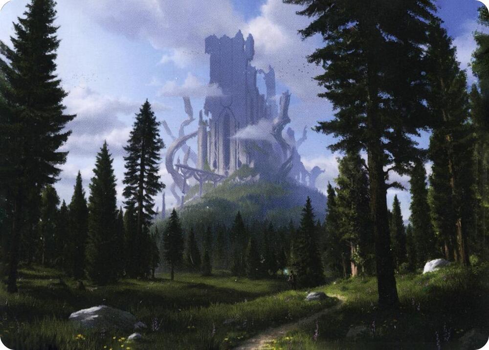 Forest (61/81) Art Card [Adventures in the Forgotten Realms Art Series]