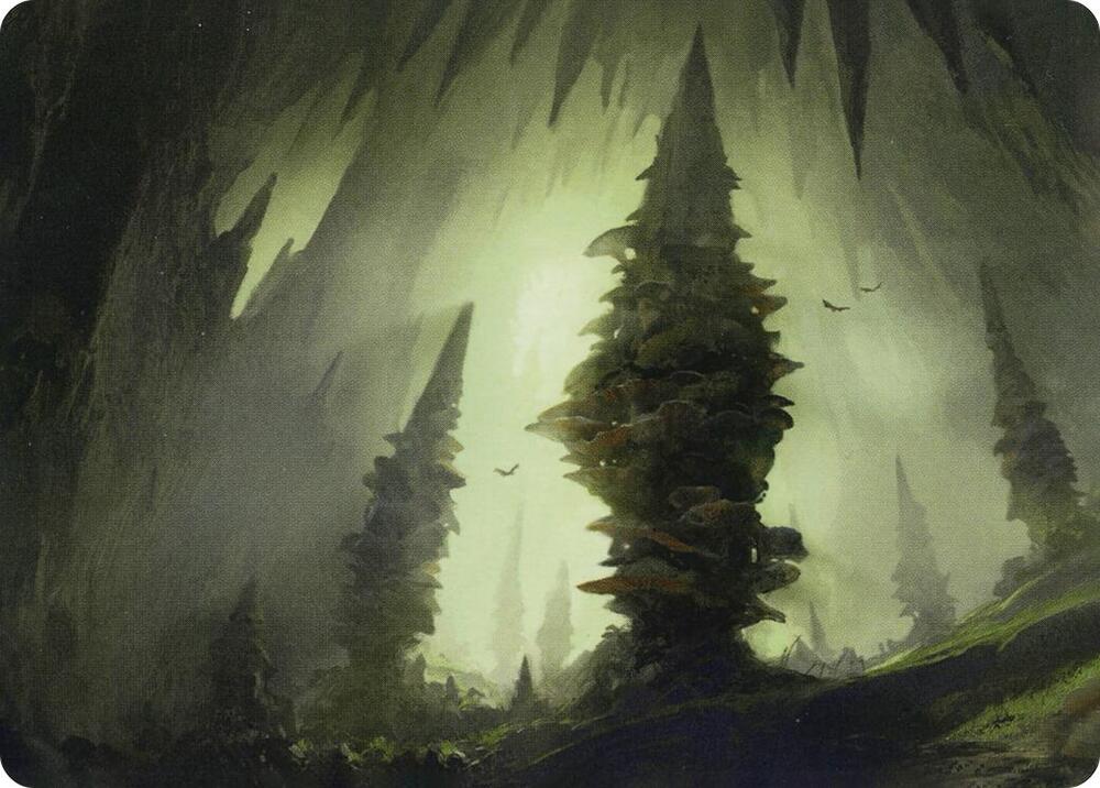 Forest (55/81) Art Card [Adventures in the Forgotten Realms Art Series]