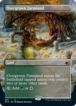 Overgrown Farmland (Borderless) (283) [Innistrad: Midnight Hunt] [Borderless]