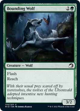 Bounding Wolf (170) [Innistrad: Midnight Hunt]