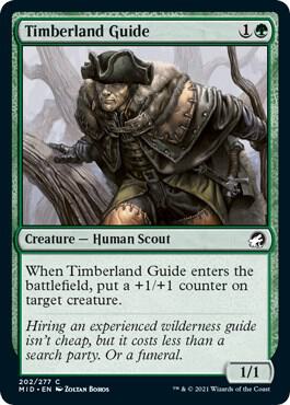 Timberland Guide (202) [Innistrad: Midnight Hunt]