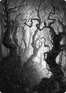 Forest Art Card (80/81) [Innistrad: Midnight Hunt Art Series]