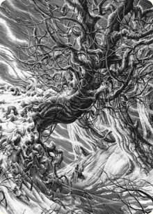 Forest Art Card (81) [Innistrad: Crimson Vow Art Series]