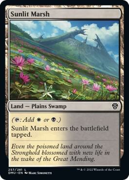Sunlit Marsh (257) [Dominaria United]