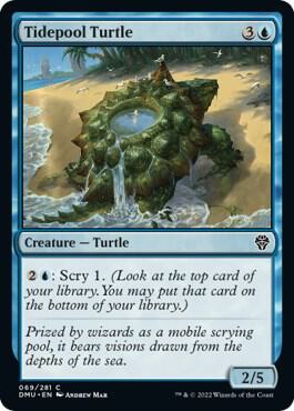 Tidepool Turtle (69) [Dominaria United]