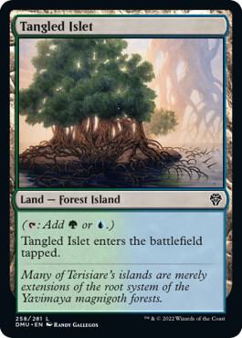 Tangled Islet (258) [Dominaria United]