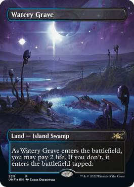 Watery Grave (Borderless) (Galaxy Foil) (529) [Unfinity] [Borderless]
