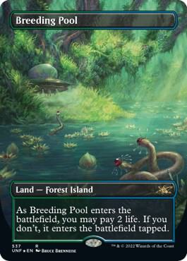 Breeding Pool (Borderless) (Galaxy Foil) (537) [Unfinity] [Borderless]