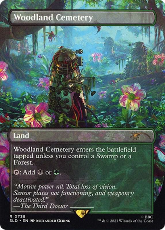Woodland Cemetery (738) [Secret Lair Drop] [Borderless]