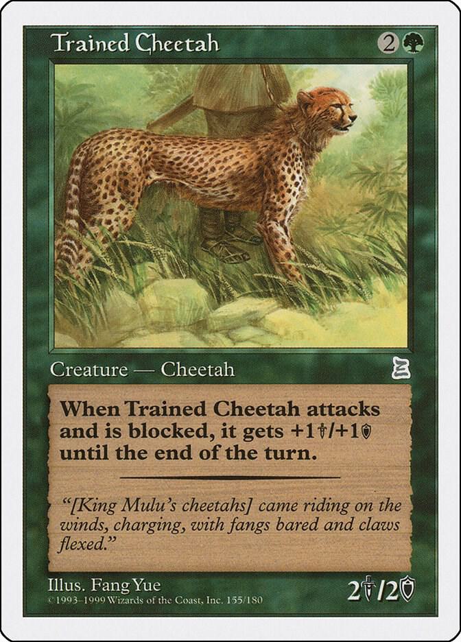 Trained Cheetah (155) [Portal Three Kingdoms]