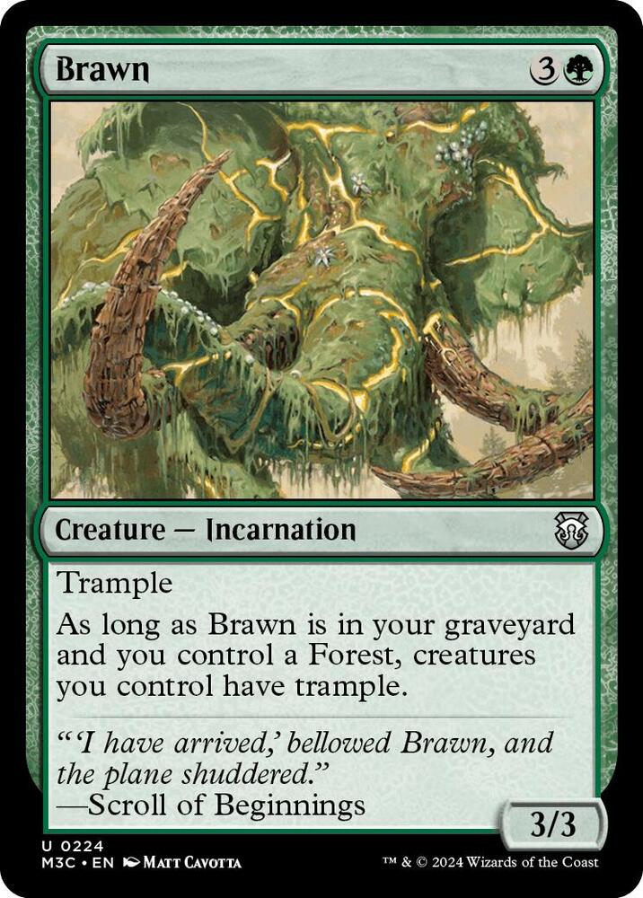 Brawn (224) [Modern Horizons 3 Commander]