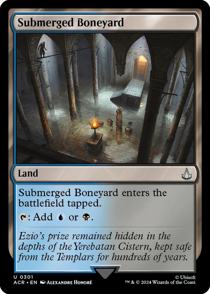 Submerged Boneyard (301) [Assassin's Creed]
