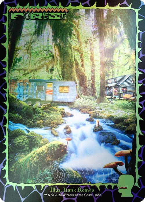 Forest (1656) (Rainbow Foil) [Secret Lair Drop]