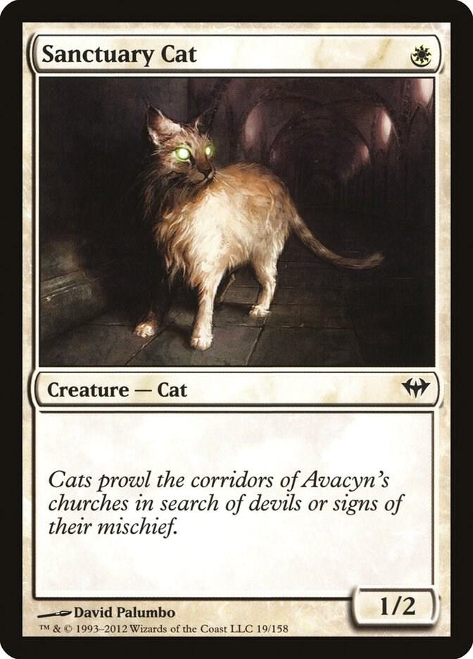Sanctuary Cat (19) [Dark Ascension]