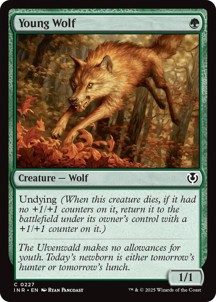 Young Wolf (227) [Innistrad Remastered]