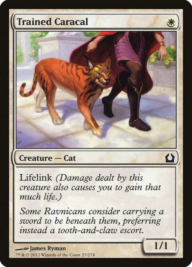Trained Caracal (27) [Return to Ravnica]