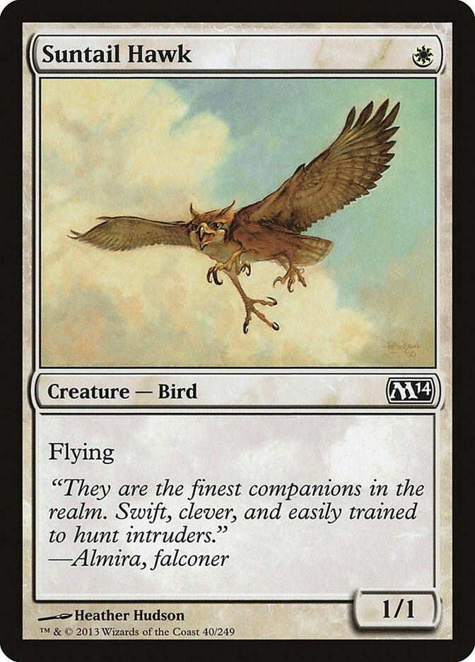Suntail Hawk (40) [Magic 2014]