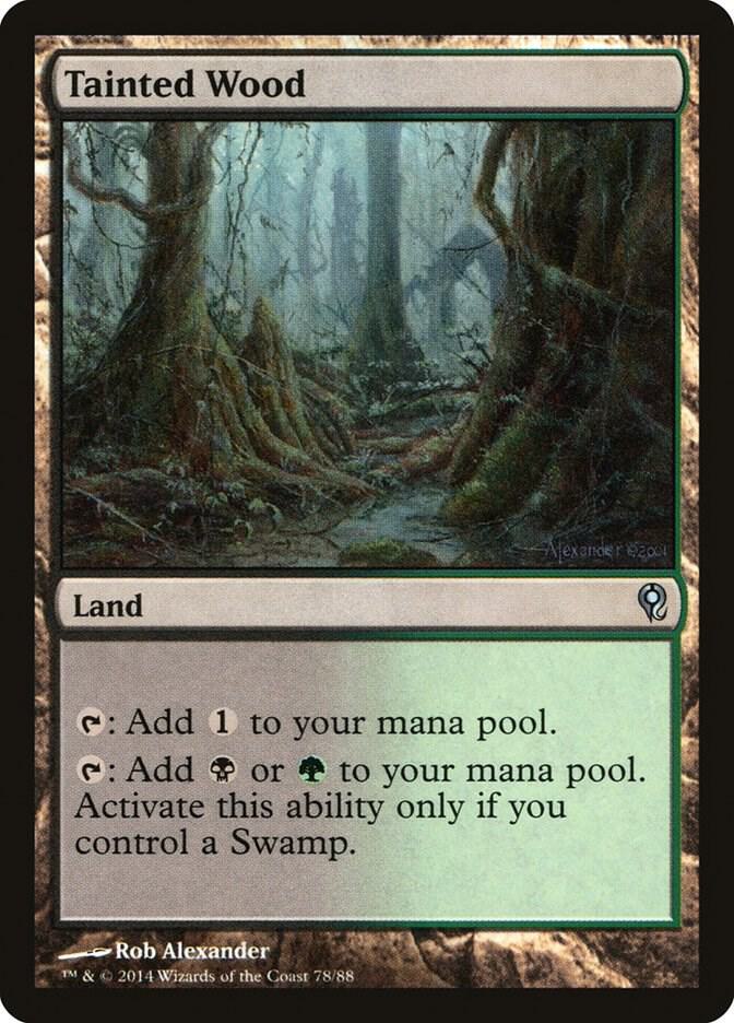 Tainted Wood (78) [Duel Decks: Jace vs. Vraska]