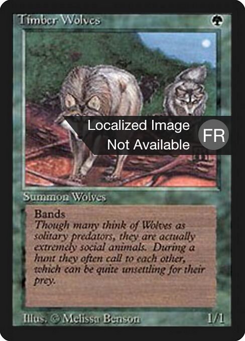 Timber Wolves (219) [Foreign Black Border]