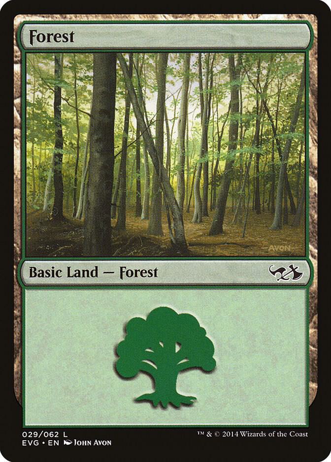 Forest (029) (EVG) [Duel Decks: Anthology]