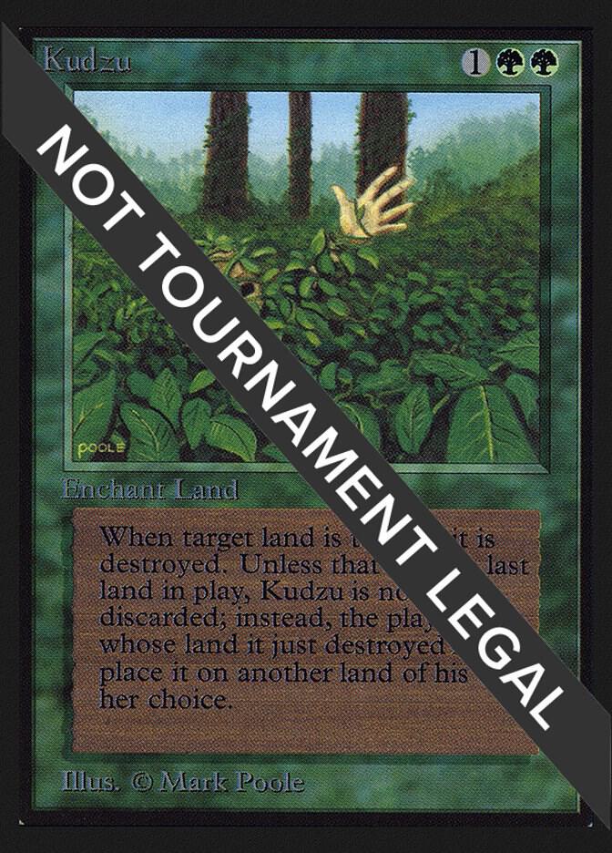 Kudzu (IE) [International Edition]
