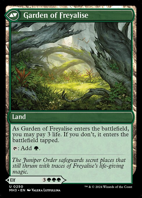 Disciple of Freyalise (250) [Modern Horizons 3] Reverse