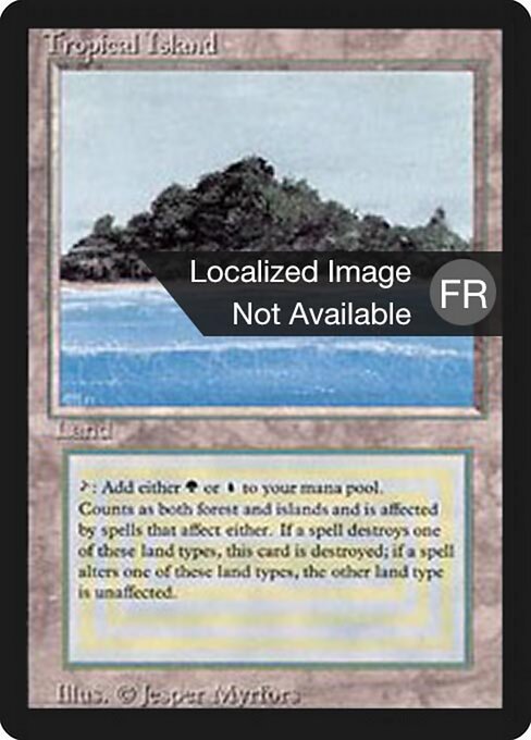 Tropical Island (288) [Foreign Black Border]